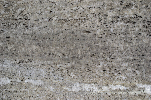 Stone, shell rock texture background. Texture of shell rock limestone for background. Natural pattern. . High quality photo