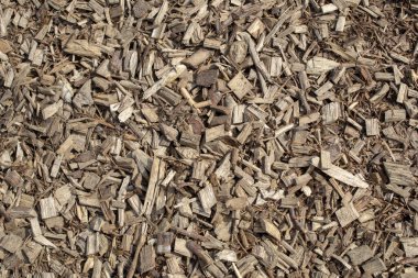 Doğa ahşap desenli duvar kağıdı arka planı. Yüksek kalite fotoğraf