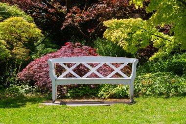 Yeşil bahçede beyaz mahsullü bank. Yüksek kalite fotoğraf