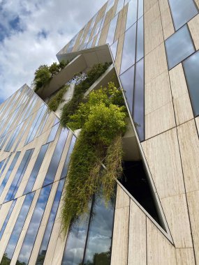 Bielefeld 'deki Alte Kapelle. Almanya. Yüksek kalite fotoğraf