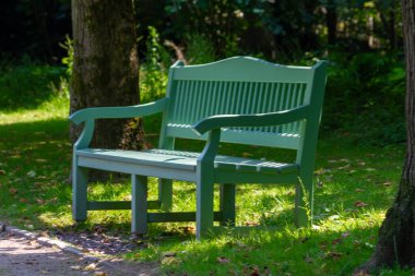 Yükselen bir ağacın gölgesinin altında saklanmış kırsal bir bankın olduğu sakin bir park sahnesi..
