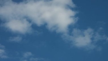 Pofuduk beyaz bulutların berrak mavi gökyüzünde sürüklenen sakin bir görüntüsü..