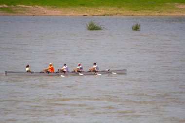 Dört kişilik ekip sakin bir gölde kürek çekiyorlar. Yüksek kalite fotoğraf
