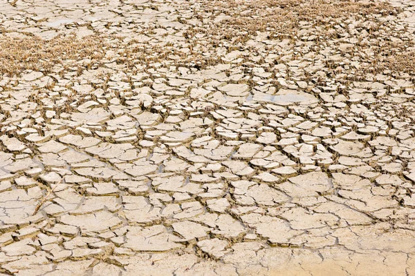乾燥湖の底 自然詳細 割れた泥 ストック写真