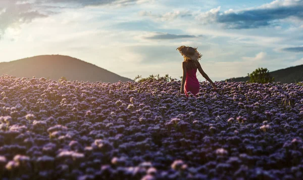 美丽而漂亮的女人 戴着粉色和太阳帽 走在紫色的花朵之间 欣赏落日的最后光芒 图库图片