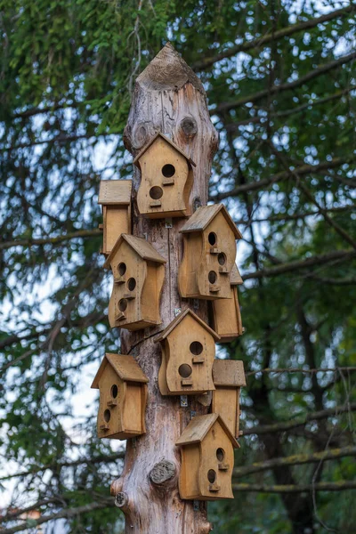 Veel Vogelhuisjes Hangend Aan Een Houten Pilaar Huizen Voor Vogels — Stockfoto