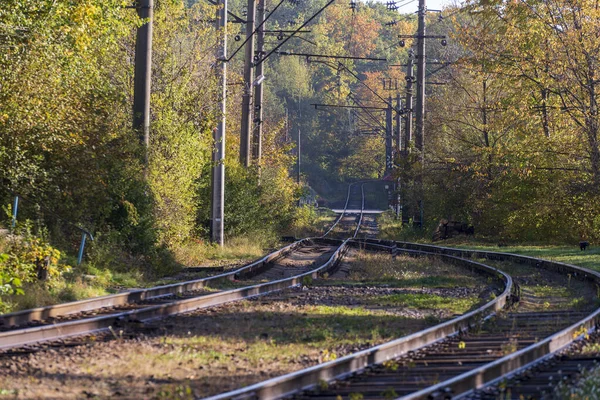 Railroad tracks and railroad crossing through the autumn forest on a sunny warm day, Ukraine