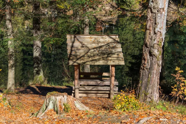 Dřevěný Altán Pro Odpočinek Jezera Synevyr Podzimního Lesa Karpatských Horách — Stock fotografie
