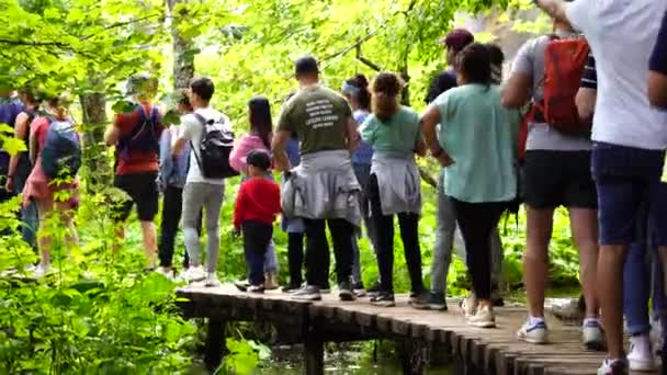 Plitvice Lakes Croácia Agosto 2021 Longa Fila Pessoas Esperando Barco — Vídeo de Stock