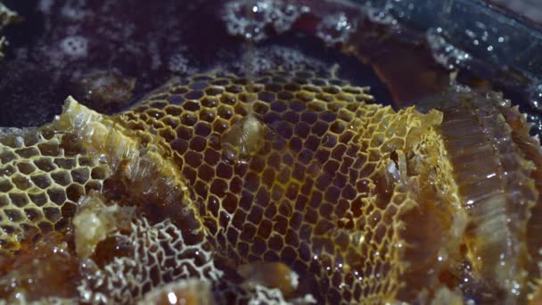 Transparent Honey Flowing Surface Honeycombs Closeup Honeycomb Honey Background Texture — Stockvideo