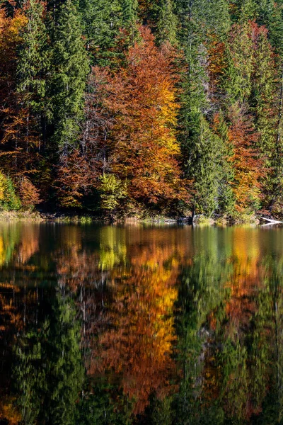 美丽的五彩缤纷的树木 在阳光明媚的秋日 在平静的水面上反射 明亮而生机勃勃的风景 自然背景 — 图库照片