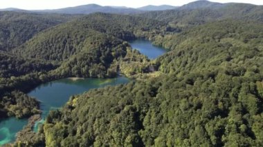 Yazın Hırvatistan, Orta Avrupa, seyahat ve doğa kavramında ormanla ünlü Plitvice Gölleri üzerinde uçmak