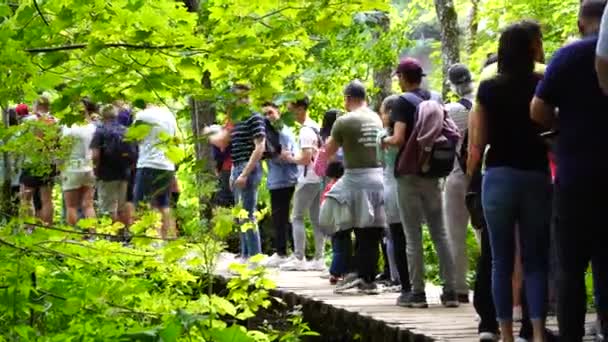 Plitvice Lakes Croatia August 2021 Long Queue People Waiting Electric — Stock Video