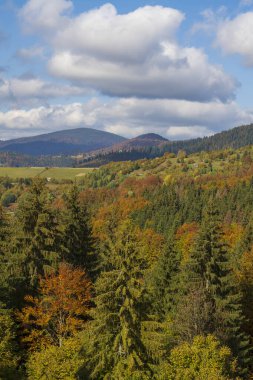 Karpatya dağlarında güzel bir sonbahar ormanı güneşli bir sonbahar gününde Synevyr Geçidi 'nde ve mavi gökyüzü arka planında. Batı Ukrayna