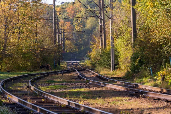 Ferrovie Ferrovia Attraversano Foresta Autunnale Una Giornata Sole Caldo Ucraina — Foto Stock