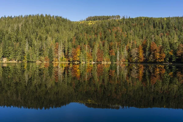 Hermoso Paisaje Otoño Tranquilo Lago Synevyr Con Árboles Marrones Rojos — Foto de Stock