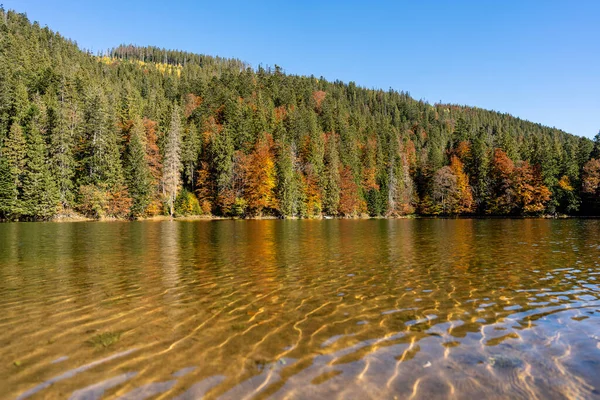 Hermoso Paisaje Otoño Tranquilo Lago Synevyr Con Árboles Marrones Rojos — Foto de Stock