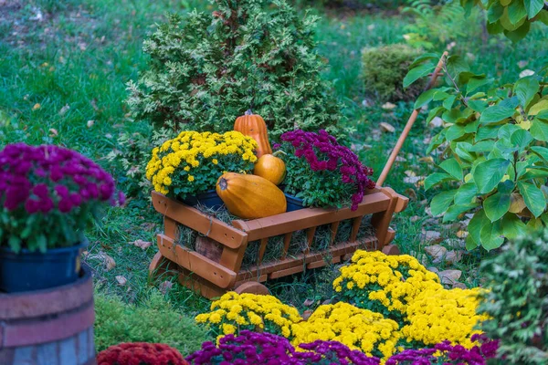 Holzwagen Mit Herbstblumen Und Kürbissen Garten Aus Nächster Nähe Herbsternte — Stockfoto