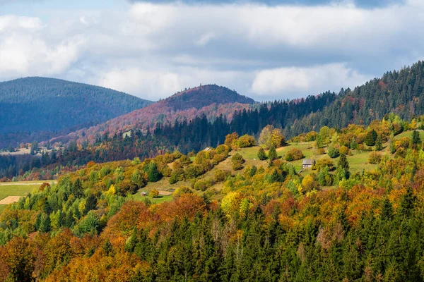 Krásný Podzimní Les Karpatských Horách Slunečného Podzimního Dne Hřebeni Průsmyku — Stock fotografie