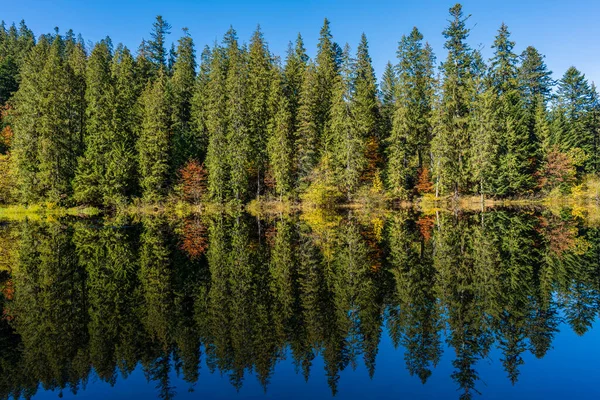 stock image Beautiful colourful trees reflecting in calm water surface on a sunny autumn day. Bright and vibrant landscape scene. Nature background