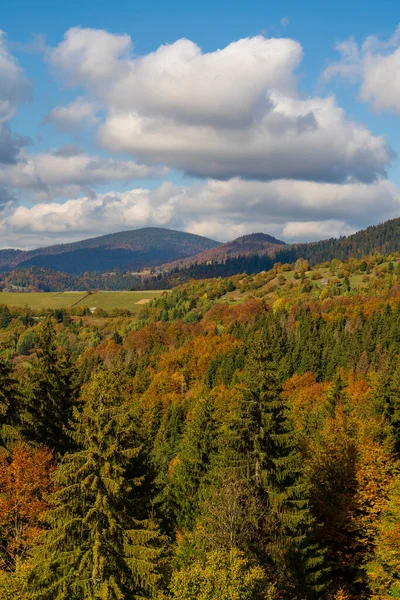 美丽的秋天森林在喀尔巴阡山脉上 在阳光灿烂的秋日里 在齐泽维尔山岭和蓝天的背景下 西乌克兰 — 图库照片