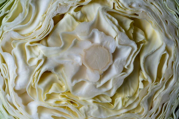 Background White Cabbage Cut Macro Photography Close Top View Texture — Stock Photo, Image