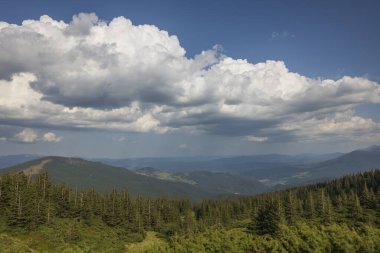 Yazın güneşli bir günde güzel bir tepe bölgesi. Ukrayna, Avrupa 'daki Karpatlar' da resim gibi bir manzara. Doğa ve çevre kavramı