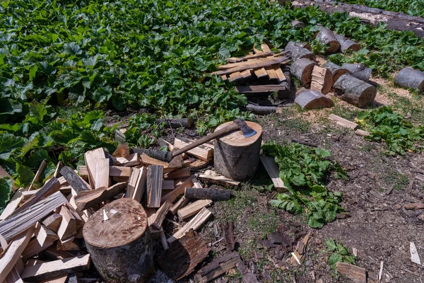 Firewood Yard Mountain Village Carpathians Ukraine Stump Close — Zdjęcie stockowe
