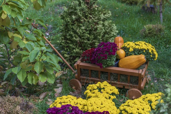 Wooden Cart Autumn Flowers Pumpkins Garden Close Autumn Harvest Cart — Stock Photo, Image
