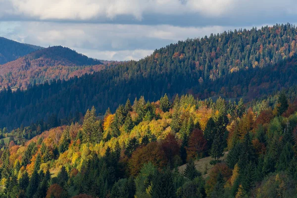 美丽的秋天森林在喀尔巴阡山脉上 在阳光灿烂的秋日里 在齐泽维尔山岭和蓝天的背景下 西乌克兰 — 图库照片