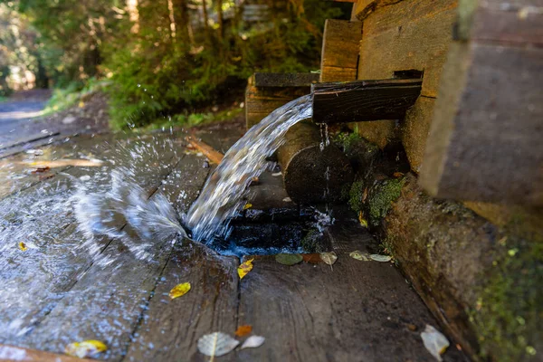 暖かい秋の日にカルパチア山脈の水の春 閉じます ウクライナ西部 山の森の中できれいな飲料水と木製の井戸水 天然由来の清新で冷たい水 — ストック写真