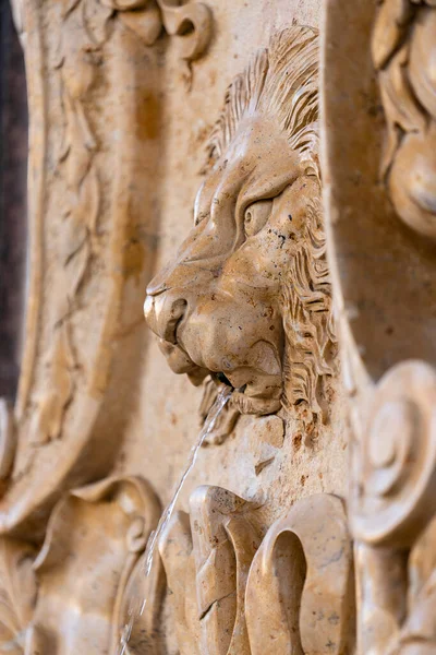 Büyük aslan başı heykeli taştan sarı duvarda, Ukrayna sokaklarına su fışkırtıyor.