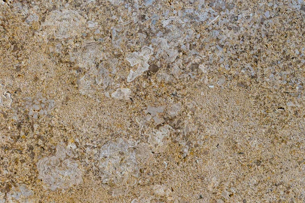 Tekstur Dinding Marmer Krem Pola Batu Marmer Permukaan Latar Belakang — Stok Foto