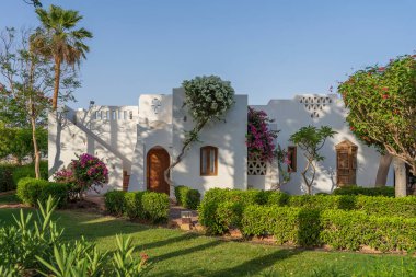 Beyaz duvar evi ve çiçek ağacı Sharm El Sheikh 'de Mısır caddesinde.