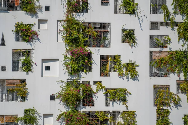 베트남의 거리에 돌벽에 식물이 자라는 생태계 건물들의 — 스톡 사진