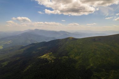 Green forest with fir trees and a meadow near mountain village Dragobrat, Western Ukraine, Europe. Beautiful nature of the Carpathian mountains on a sunny day in summer. Aerial drone shot landscape