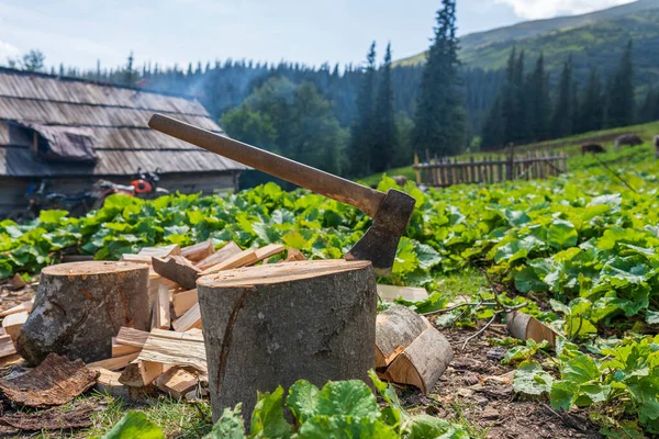 Firewood Yard Mountain Village Carpathians Ukraine Stump Close — Stock Photo, Image