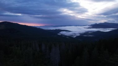 Silhouette of a Christmas tree and morning sky at sunrise against the background of the Carpathian mountains in the summer. Ukraine, Europe