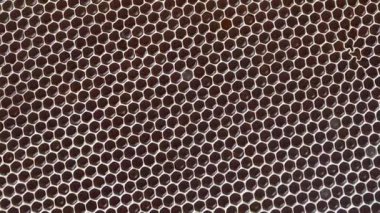 Closeup of a honeycomb with honey, rotates. Background texture and pattern of a section of wax honeycomb from a bee hive filled with honey