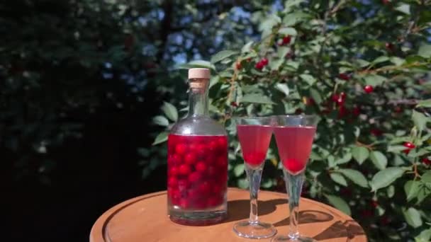 Homemade Cherry Brandy Two Glasses Glass Bottle Wooden Table Summer — Vídeo de stock