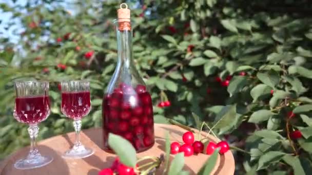 Homemade Cherry Brandy Two Glasses Glass Bottle Wooden Table Summer — Stock Video
