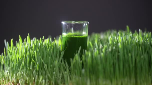 Yeşil Filizlenmiş Buğday Tanelerinin Çimenlerinden Sağlıklı Organik Yeşil Detoks Suyu — Stok video