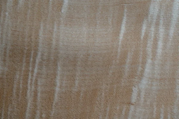 Ξύλο Καπλαμά Υφή Φόντο Διακοσμητικό Σχέδιο Grunge Φυσικό Υλικό Ξύλινη — Φωτογραφία Αρχείου