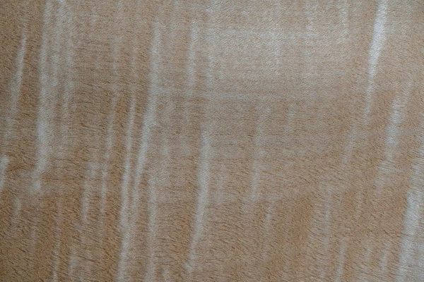 Wood Veneer Texture Background Decorative Grunge Pattern Natural Material Wooden — Foto Stock