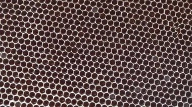 Closeup of a honeycomb with honey, rotates. Background texture and pattern of a section of wax honeycomb from a bee hive filled with honey