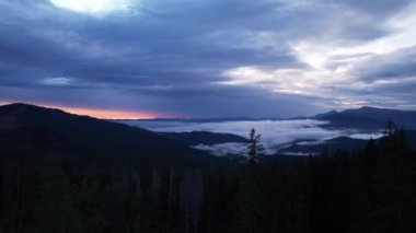 Silhouette of a Christmas tree and morning sky at sunrise against the background of the Carpathian mountains in the summer. Ukraine, Europe