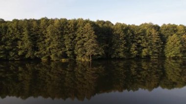 Ukrayna, Avrupa 'daki yeşil bir ormanın yakınındaki sakin bir gölün üzerinde uçuyor. Yaz günü göl suyu ve kozalaklı orman manzarası. Seyahat ve doğa kavramı
