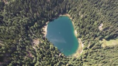 Yoğun kozalaklı ve kayın ormanlarıyla çevrili dağ gölü manzarası. Karadağ, Avrupa. Karadağ 'da ona Zabojsko Jezero diyorlar ve 1481 metre yüksekliğe sahip.