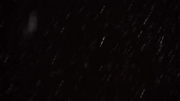Zimní Sněžení Černém Pozadí Malé Sněhové Vločky Padající Tmy Podsvícené — Stock video