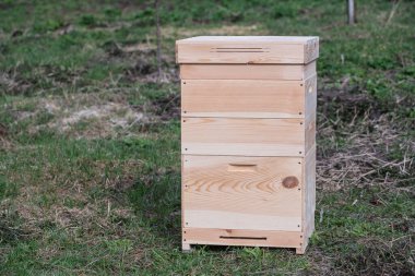 Bahar bahçesinde yeni bir ahşap arı kovanı seti. Kapatın.